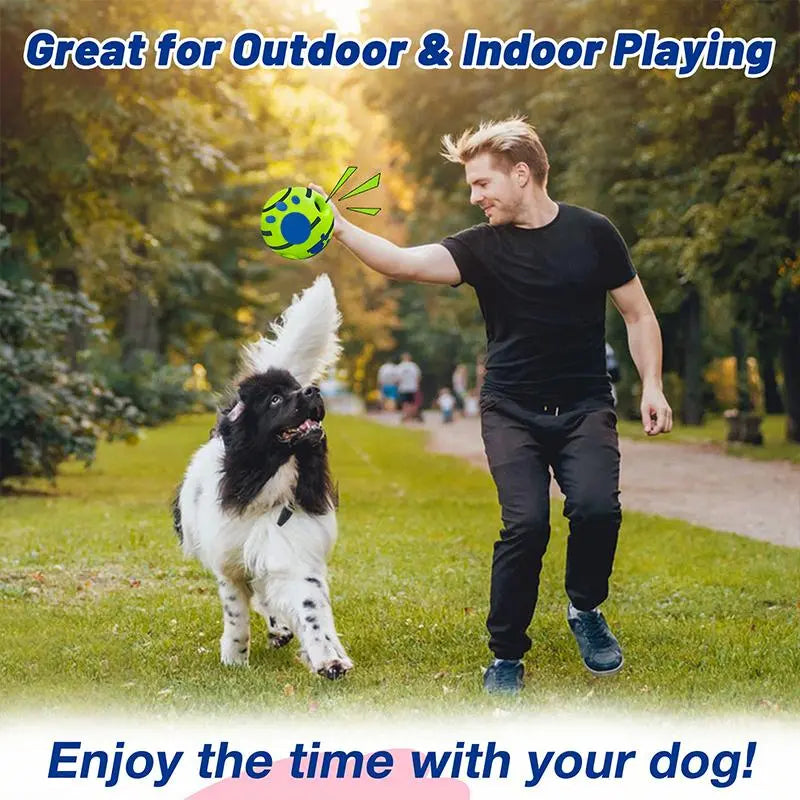 Interactive Squeaky Dog Ball – Durable Training Toy for Indoor & Outdoor Play