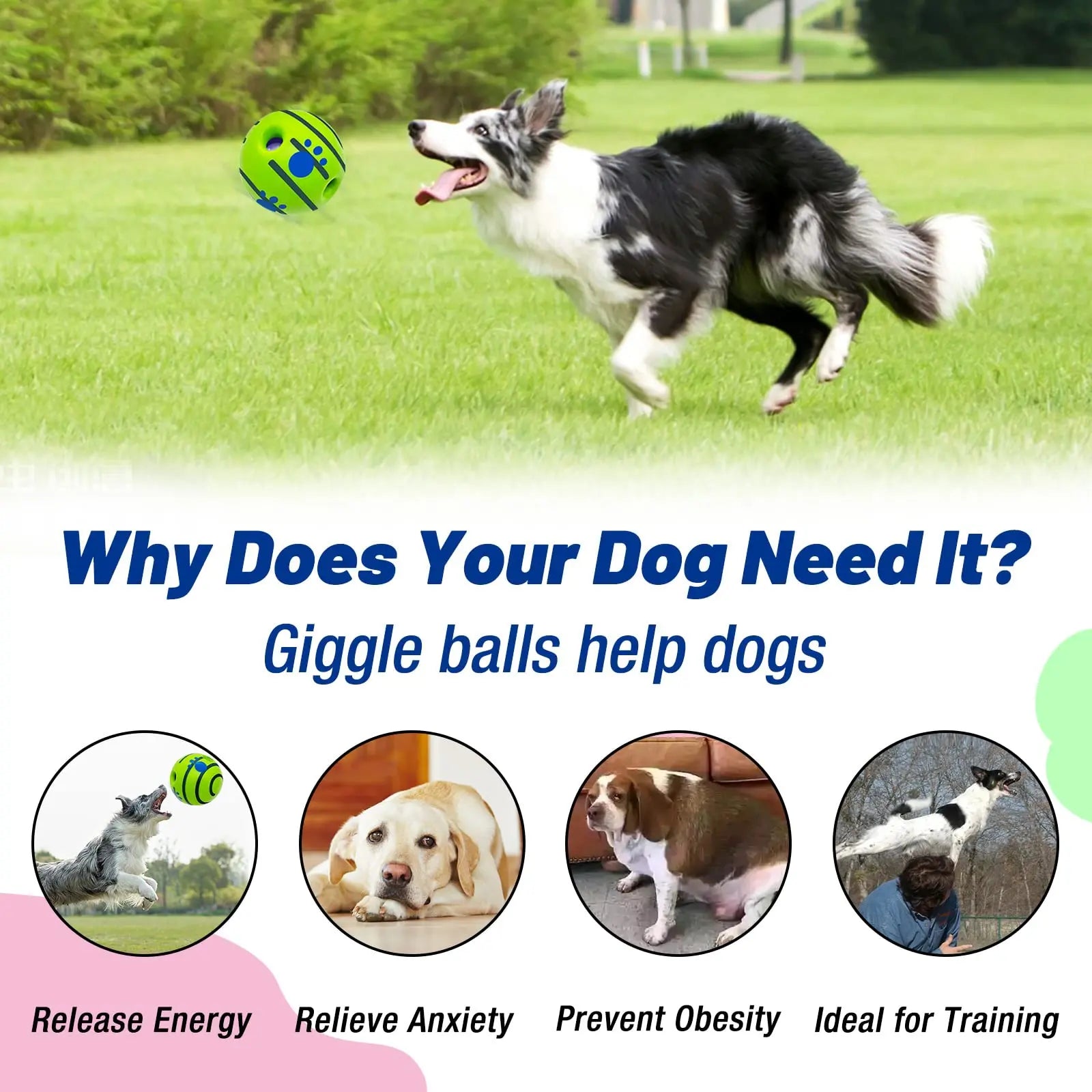 Interactive Squeaky Dog Ball – Durable Training Toy for Indoor & Outdoor Play
