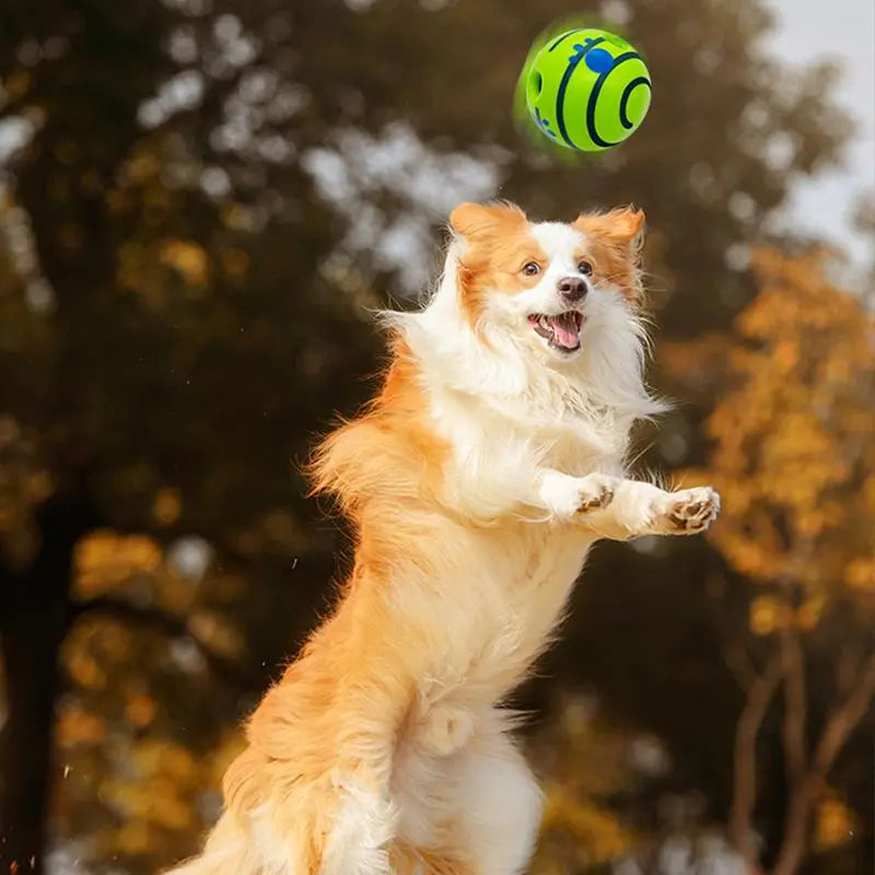 Interactive Squeaky Dog Ball – Durable Training Toy for Indoor & Outdoor Play