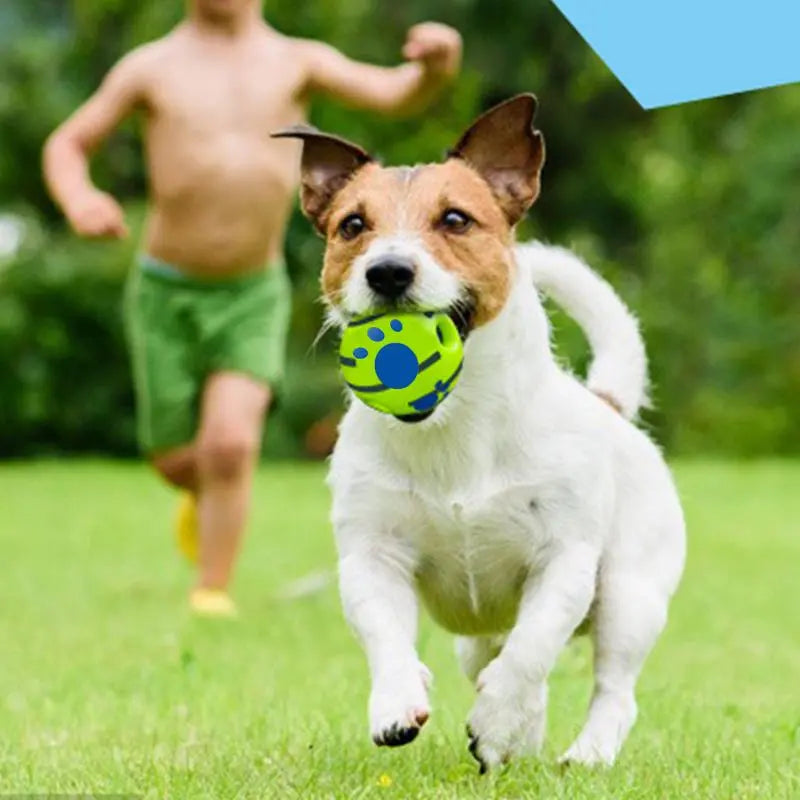 Interactive Squeaky Dog Ball – Durable Training Toy for Indoor & Outdoor Play